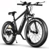 1000W fat tire electric bike side view