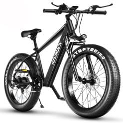 1000W fat tire electric bike side view