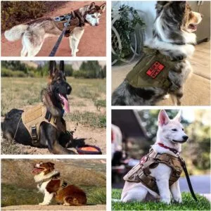 Alternative view of Tactical Dog Harness & Leash Set – No Pull Camo Nylon Heavy Duty 4 Sizes