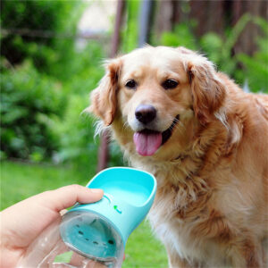 portable dog drinking bottle for outdoor pet hydration