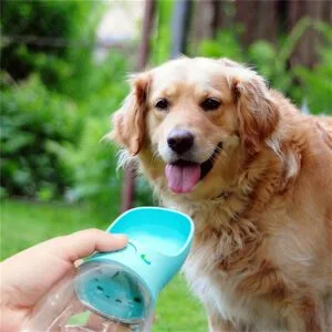portable dog drinking bottle for outdoor pet hydration