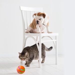 Alternative view of Motion Activated Cat Toy – Interactive Self-Moving Cat Ball for Active Indoor Pets